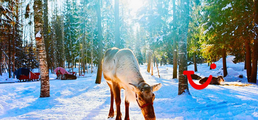 8-daagse excursiereis Ruka Adventure