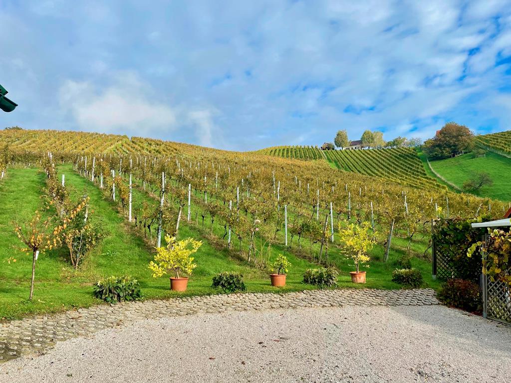 weingut-rohrbacher