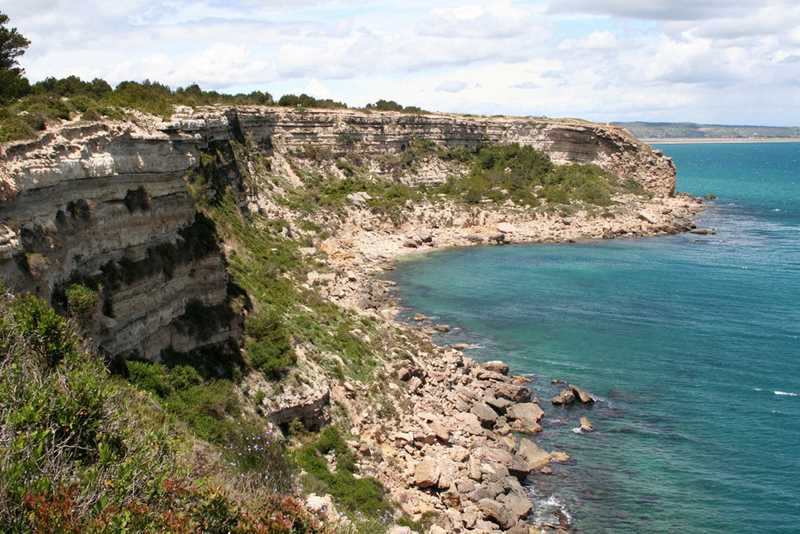 Viglamo Domaine Presquîle De La Franqui In Narbonne Expedia