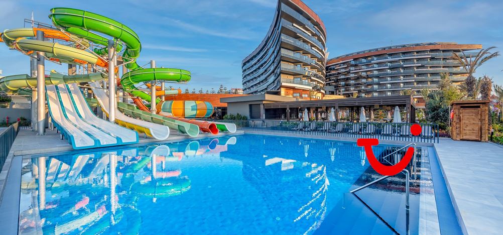 Calyptus Kirman Premium