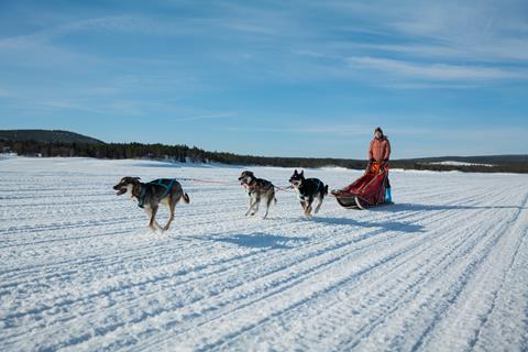 8-daagse-excursiereis-winter-in-lofsdalen-cabin