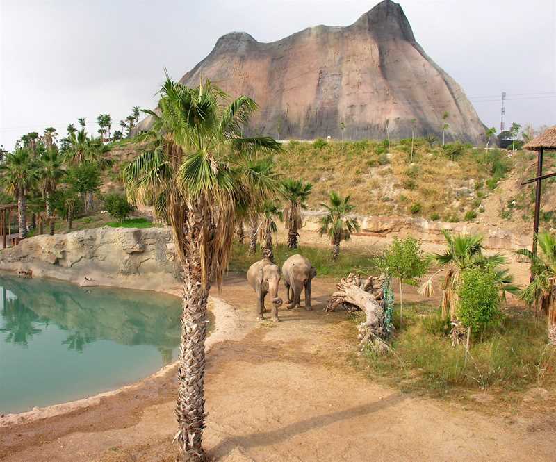 Magic Natura Animal, Waterpark & Polynesian Lodge - Benidorm | TUI