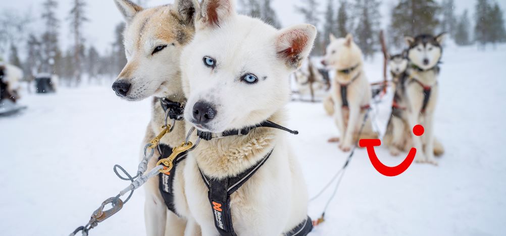 8-daagse excursiereis Lapland hotel Ylläskaltio