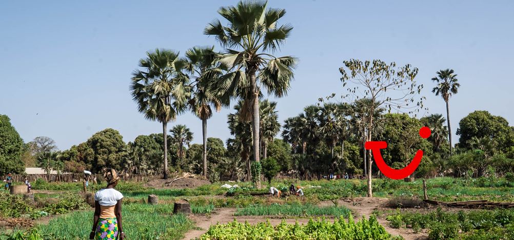 8-daagse combinatiereis Beleef het échte Gambia