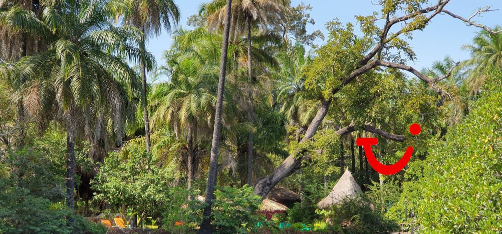 8-daagse combinatiereis Beleef het échte Gambia