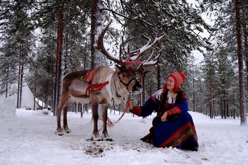 8-daagse excursiereis Escape to the Wilderness