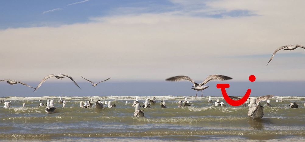 Ibis Budget Oostende Airport