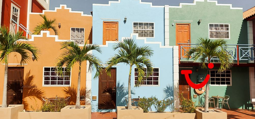 The Ritz Village