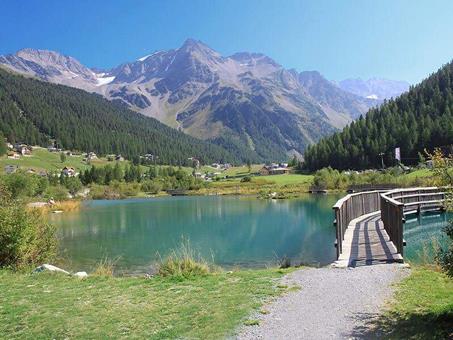 alpina-mountain-resort