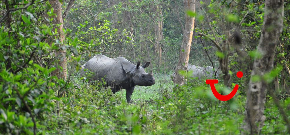 16-daagse rondreis Indrukwekkend Nepal