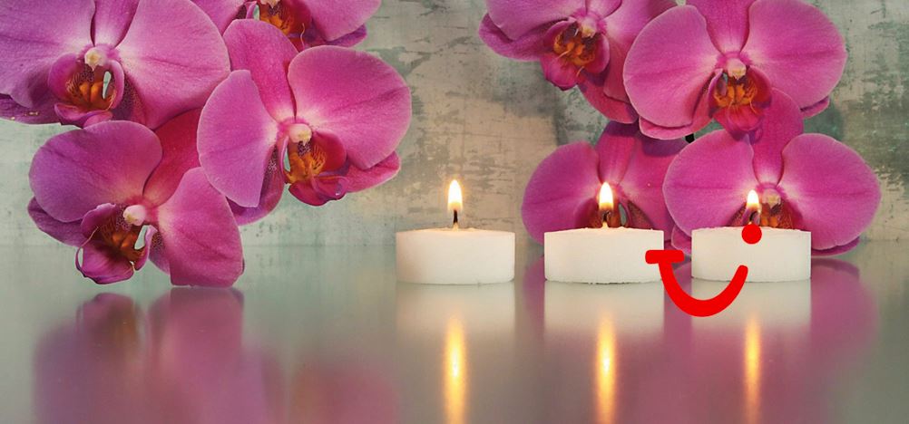 Cordial Golf & Wellness