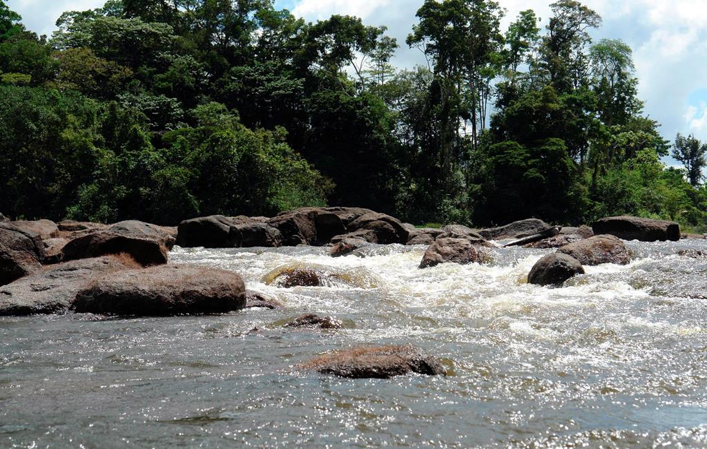 14-daagse-fly-drive-beleef-suriname