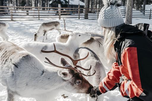 8-dg excursiereis Adventure on Ounasjärvi river