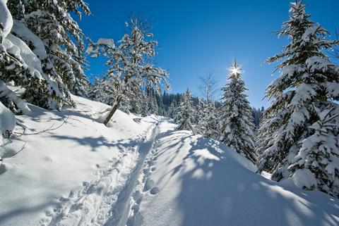 Goélia Les Chalets De Belledonne