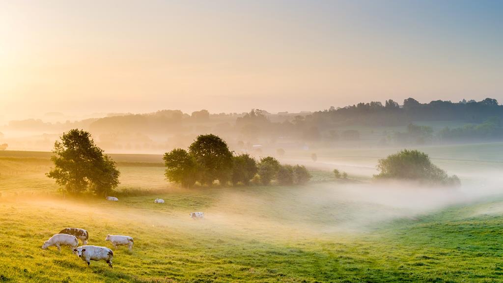 4-daagse-wandelreis-belgische-ardennen