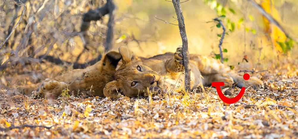 12-daagse safari Selous & Zanzibar - deluxe