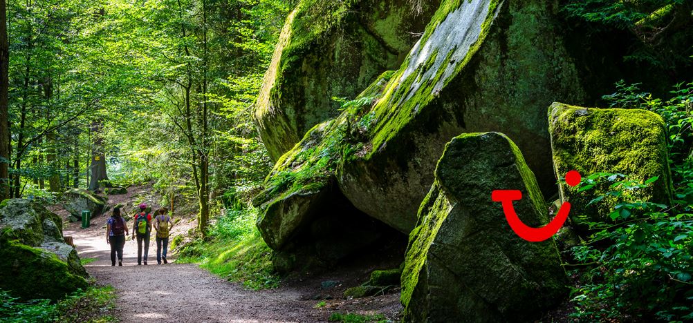 7-daagse Wandelreis Zwarte Woud