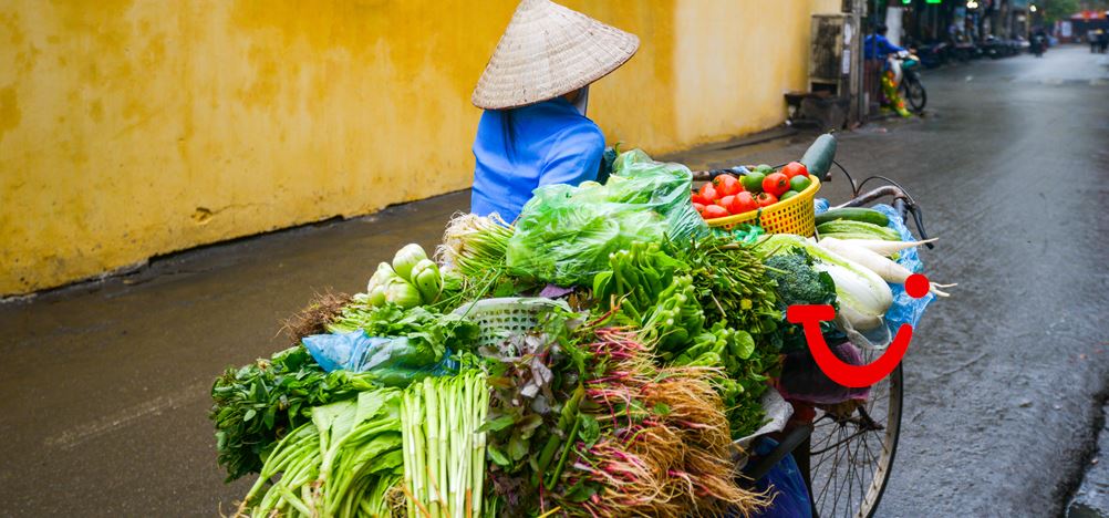 16-daagse familierondreis Vietnam