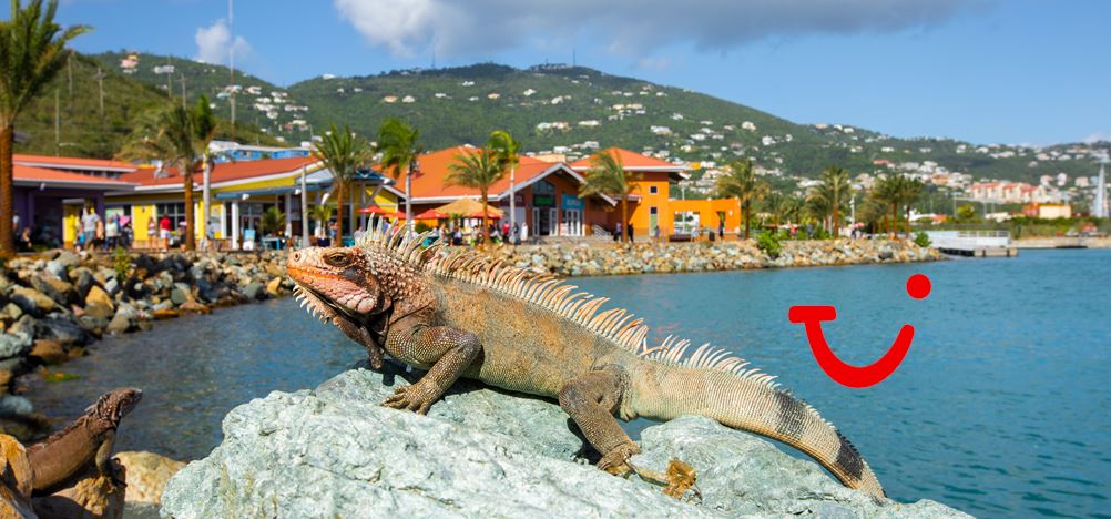 8-dg cruise Oost Caribische Zee - Icon of the Seas