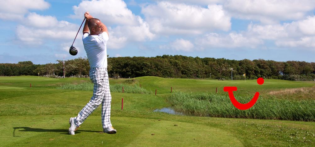 Hampshire Delft - Golf