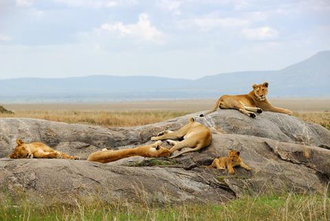 9 daagse safari Serengeti & Zanzibar