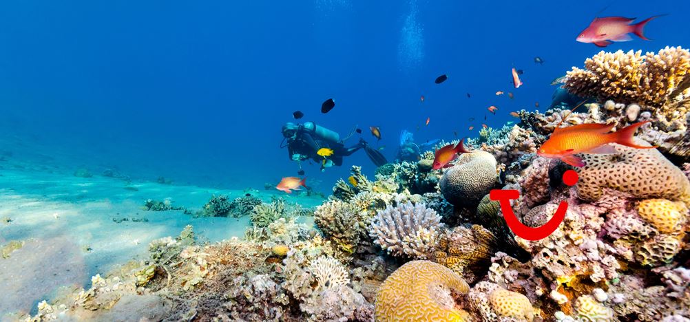 Startpakket Zanzibar