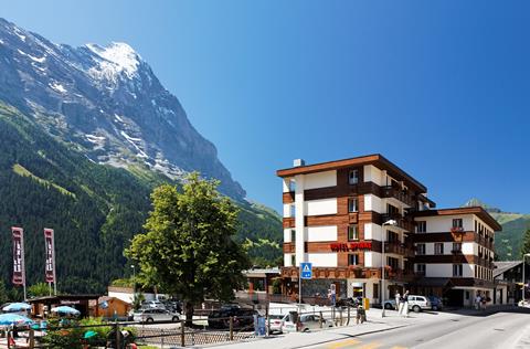 Spinne Zwitserland Berner Oberland Grindelwald sfeerfoto groot