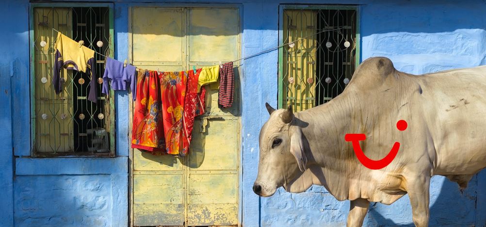 10-daagse rondreis Namasté in Noord-India