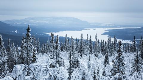 8-daagse-excursiereis-winter-in-lofsdalen-cabin