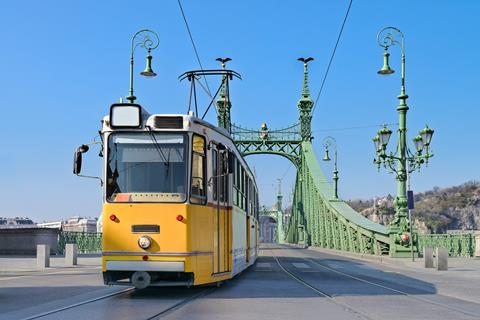 Silver Budapest