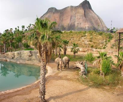 Zonvakantie Magic Natura Animal, Waterpark & Polynesian Lodge in Benidorm (Costa Blanca, Spanje)