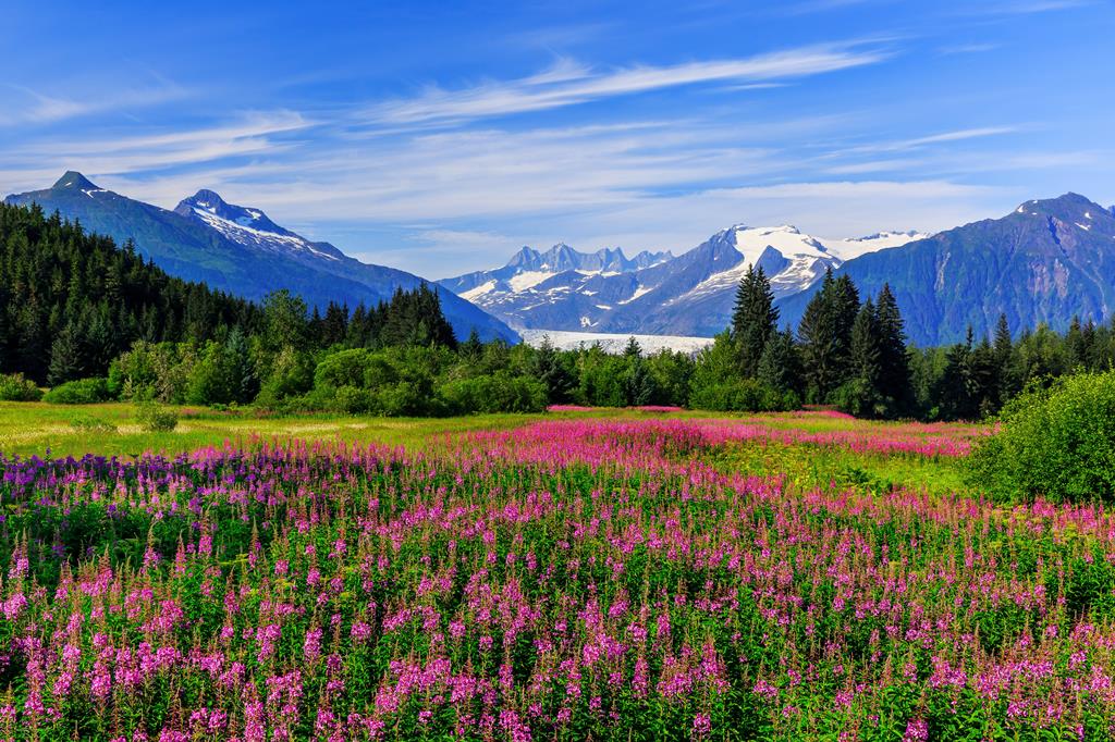 8 dg cruise Alaska MSC Poesia