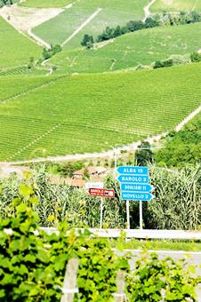 Goedkope autovakantie Piemonte ⏩ Agriturismo Mongalletto