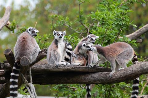 18 daagse rondreis Tropisch Madagaskar