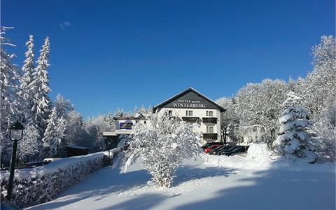 Meer info over Winterberg Resort  bij Tui wintersport