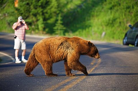 22 dgs rondreis Big Cities, Rockies Yellowstone
