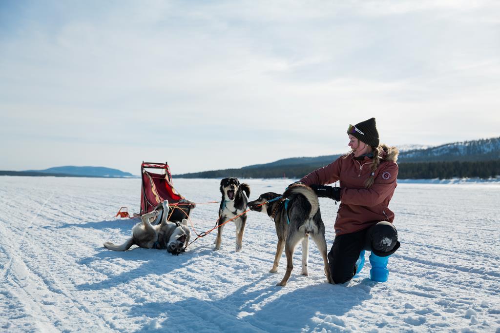 Met auto Jämtland - Zweden € 1995,- | vertrek 10 januari 2026