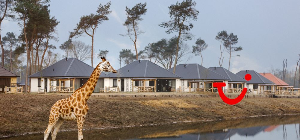 safari resort beekse bergen hilvarenbeek niederlande