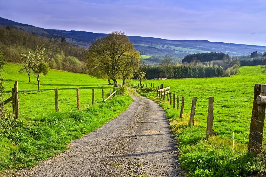 4-daagse-wandelreis-belgische-ardennen