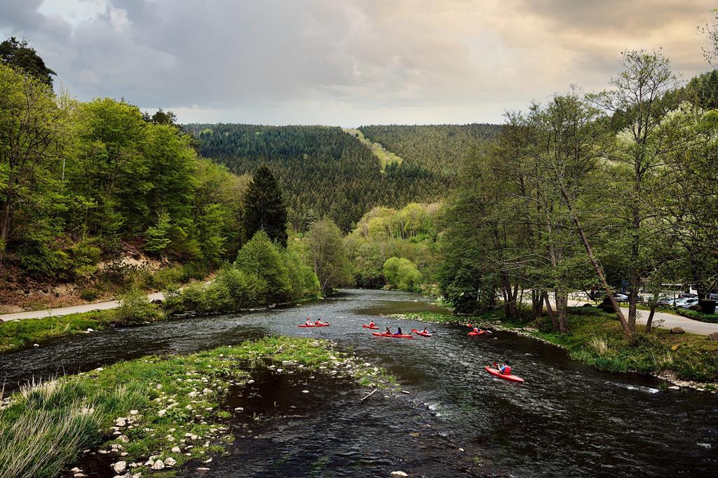 Center Parcs Les Ardennes - Vielsalm, België