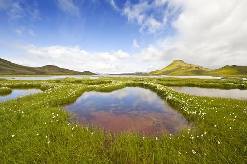 Goedkope zomervakantie Austurland - 11-daagse rondreis Grand Tour IJsland