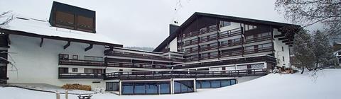 Birkenwald