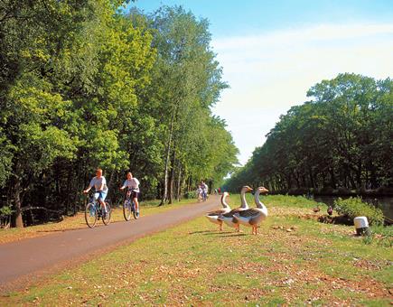 8 daagse fietsreis Vennbahn