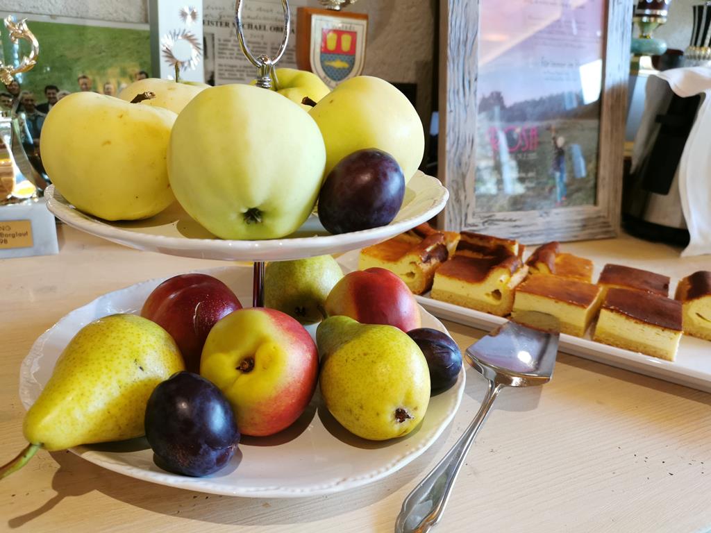 hotelpension-oberauer-wagrain