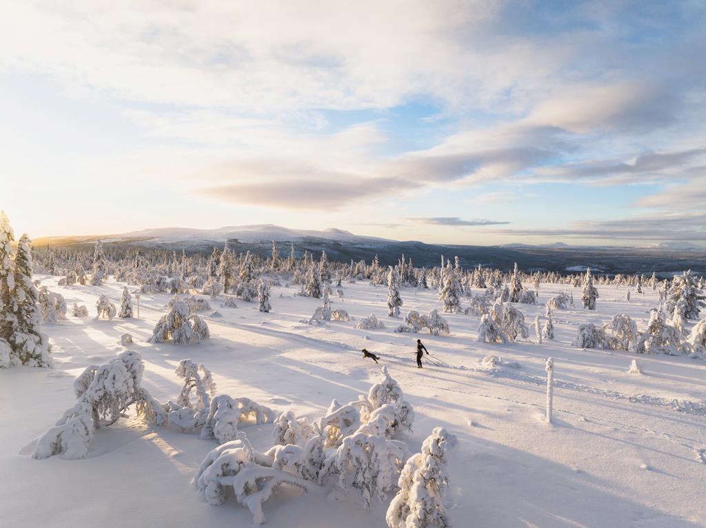 Met auto Jämtland - Zweden € 1995,- | vertrek 10 januari 2026