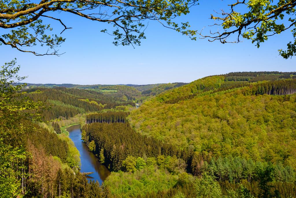 4-daagse-wandelreis-belgische-ardennen