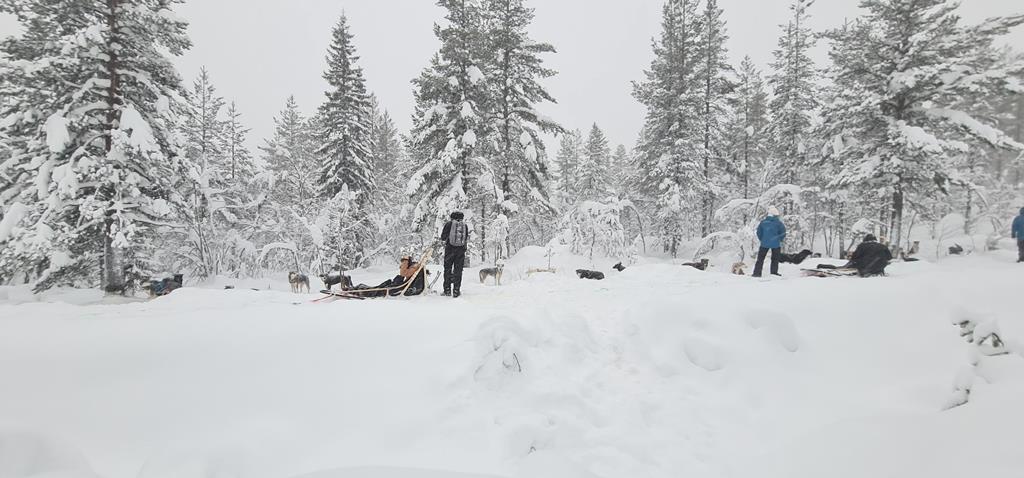 Accommodatie Villa Fregn in Ljordalen, østlandet (miniatuur)