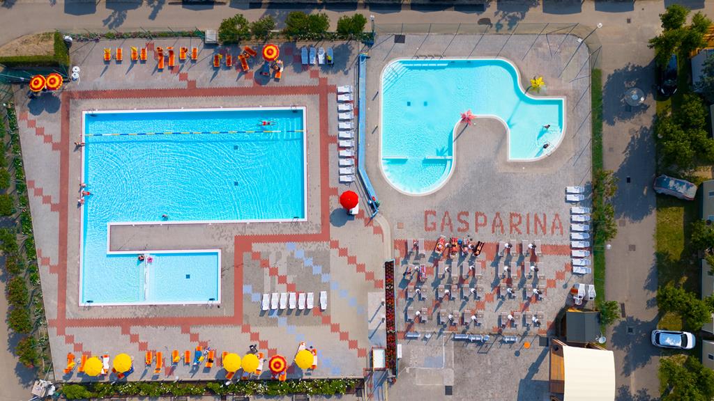 gasparina