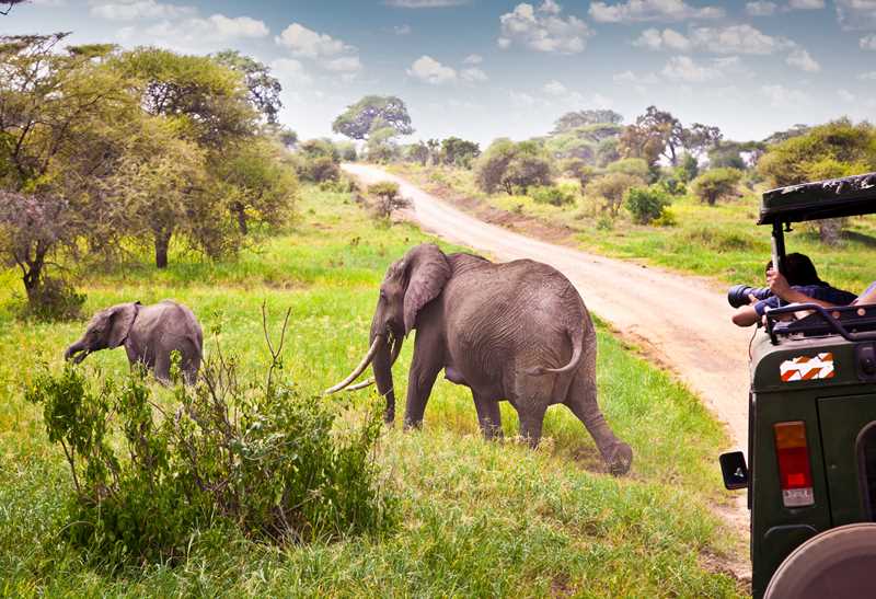  Safari Te Paard Op De Masai Mara - Paardrijvakantie Kenia  thumbnail