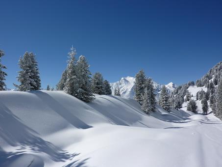 Korting wintersport Karwendel ⛷️ 8 daagse busreis Langlaufen & Wandelen Oberperfuss